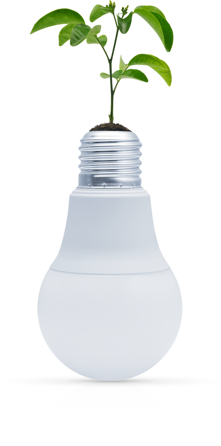 Tree Leaves on Soil with Light Bulb, Green Ecology Concept