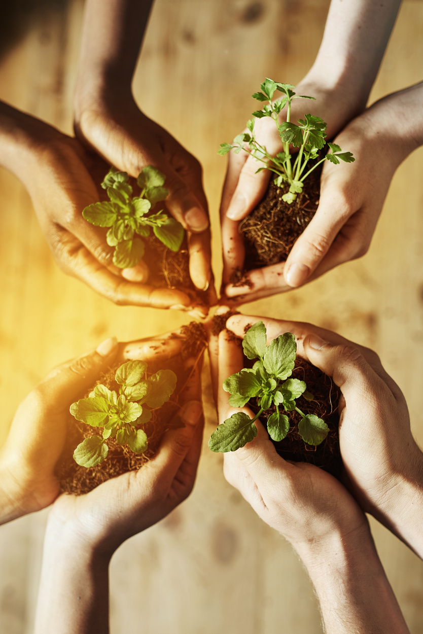 Live sustainably