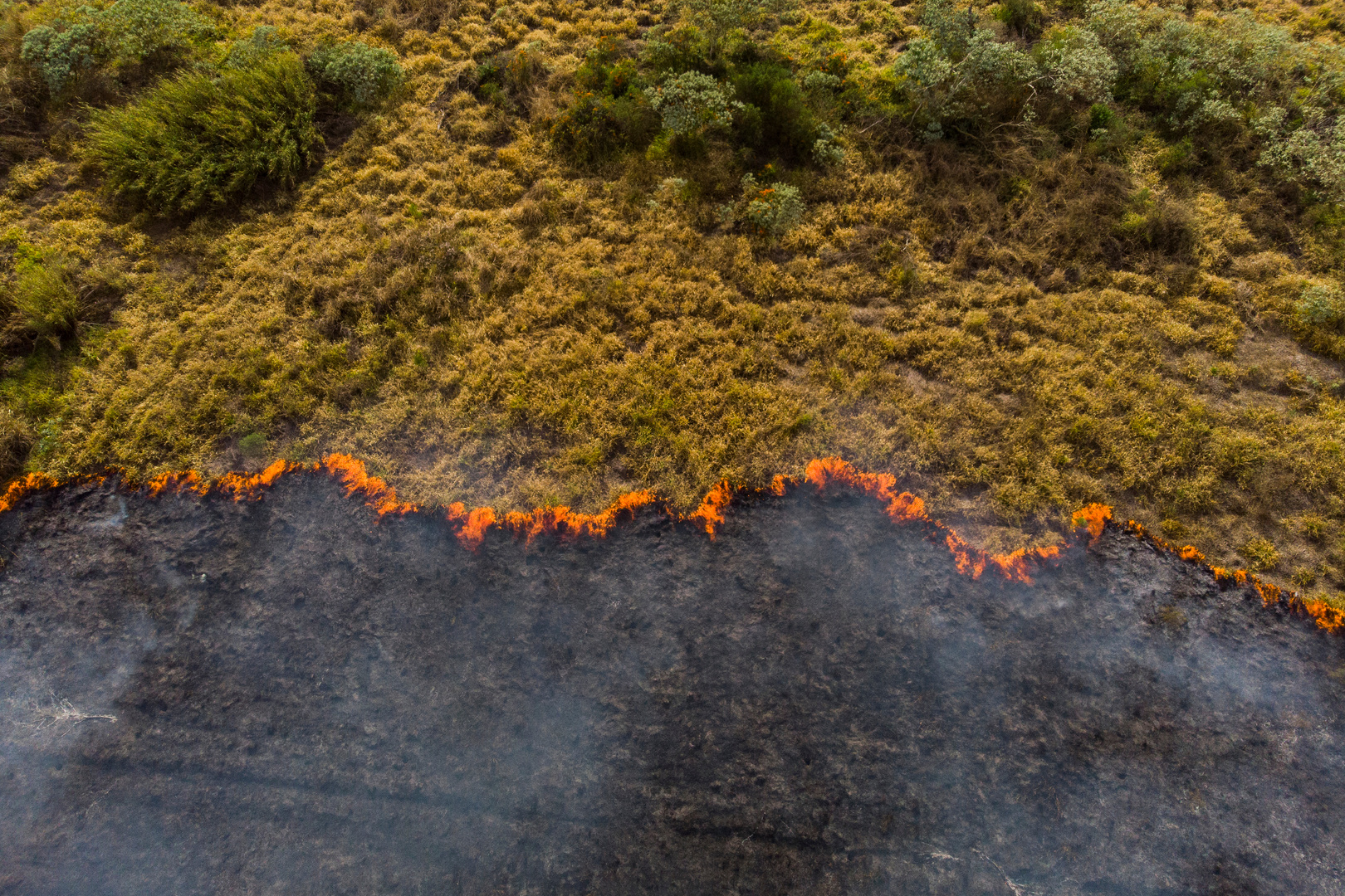 Forest fire in Brazil - Climate change